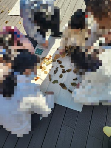 1b9aa036e9457aa418389f8baa091695_1762751546_3353.jpg 1b9aa036e9457aa418389f8baa091695_1762751